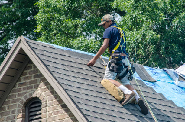 Roof Repair Estimates in San Fernando, CA